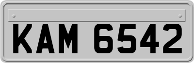 KAM6542