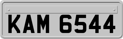 KAM6544