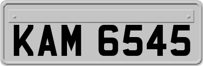 KAM6545