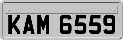 KAM6559