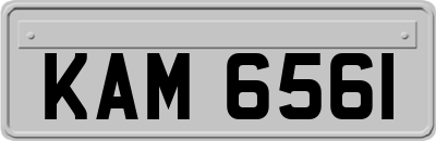 KAM6561