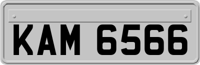 KAM6566