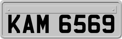 KAM6569