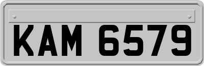 KAM6579