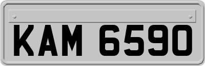 KAM6590