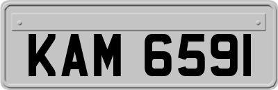 KAM6591