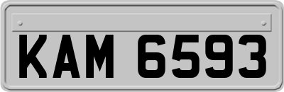 KAM6593