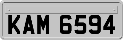 KAM6594