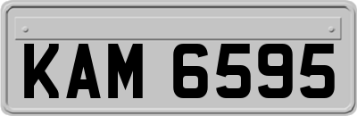 KAM6595