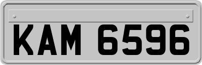 KAM6596