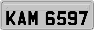 KAM6597