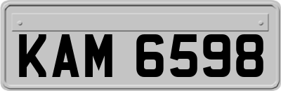 KAM6598