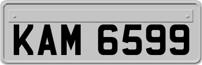 KAM6599