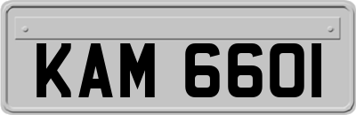 KAM6601