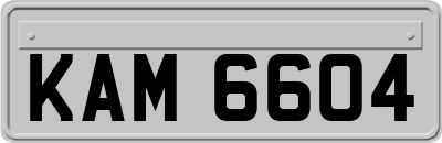KAM6604
