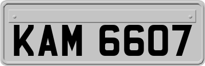KAM6607