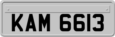 KAM6613