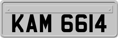 KAM6614