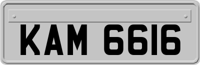 KAM6616