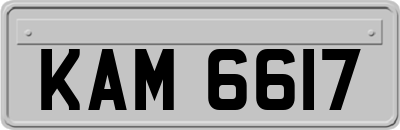 KAM6617
