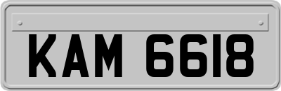KAM6618
