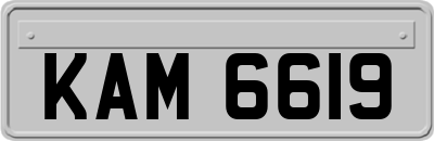 KAM6619