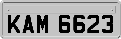 KAM6623