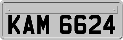 KAM6624