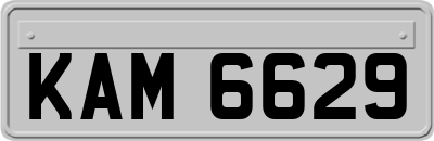 KAM6629