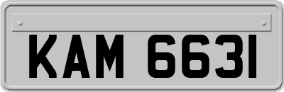 KAM6631