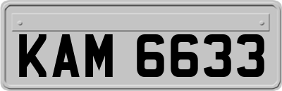 KAM6633