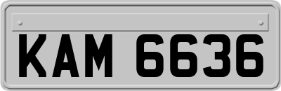 KAM6636
