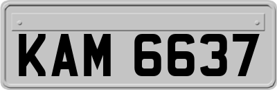 KAM6637