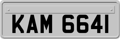 KAM6641