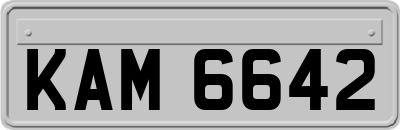 KAM6642