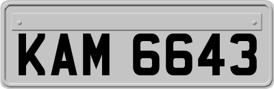 KAM6643
