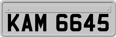 KAM6645