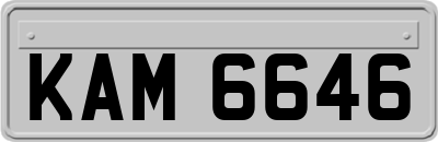 KAM6646