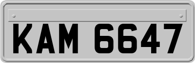 KAM6647