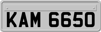 KAM6650