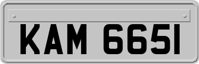KAM6651