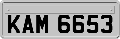 KAM6653