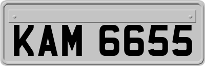 KAM6655