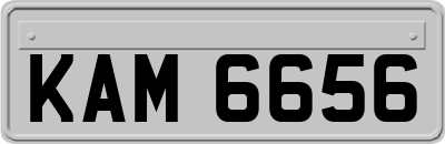 KAM6656