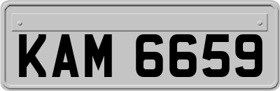 KAM6659