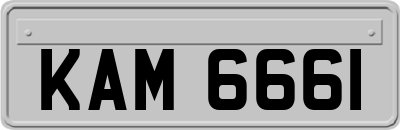 KAM6661