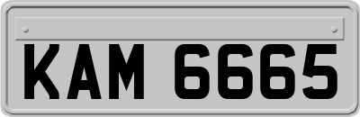 KAM6665