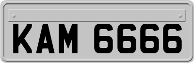 KAM6666