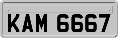 KAM6667
