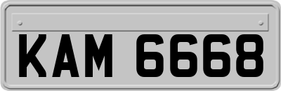KAM6668